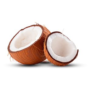 L02330 Coco seco