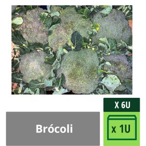 Brocoli 8 Unidades X Caja